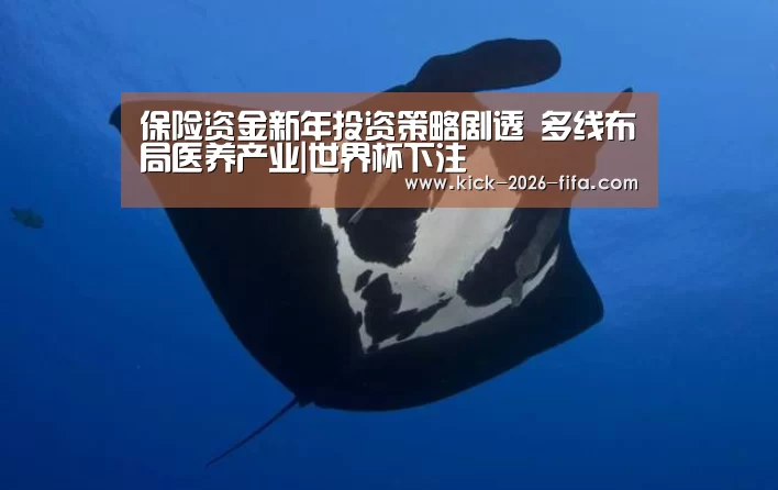 保险资金新年投资策略剧透 多线布局医养产业|世界杯下注(图2) 世界杯下注入口