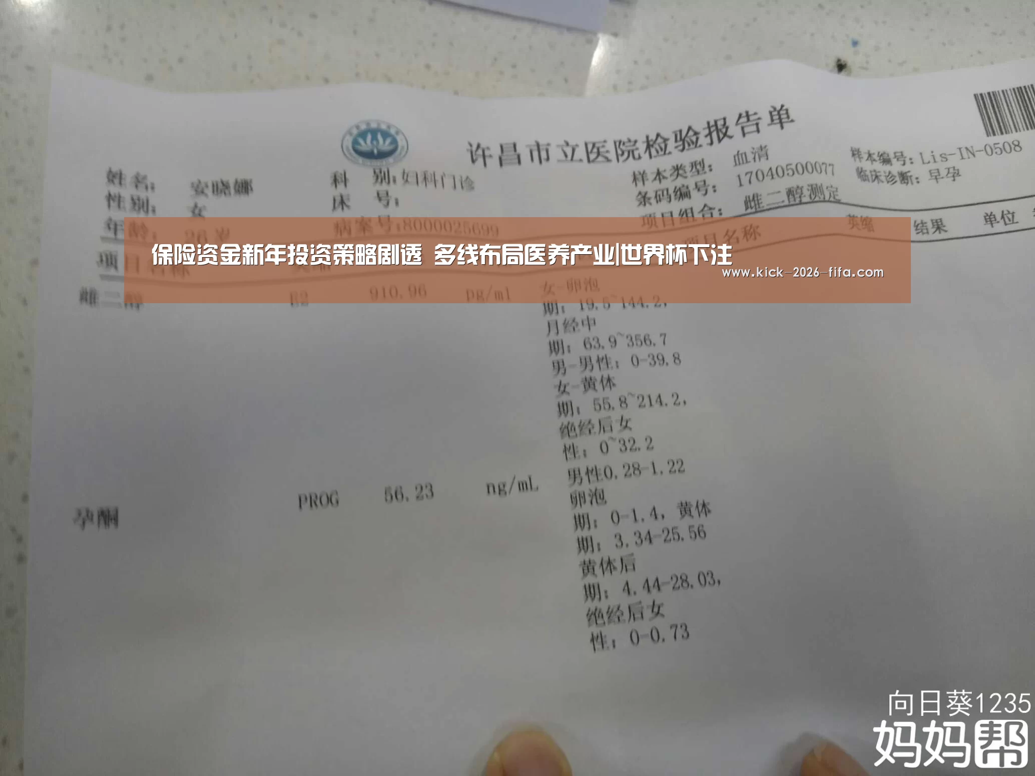 保险资金新年投资策略剧透 多线布局医养产业|世界杯下注(图3) 世界杯下注入口